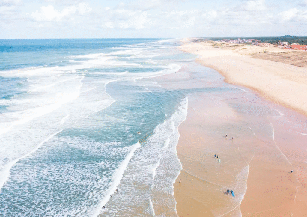 Sortie fat bike dans les Landes : entre pins et sable fin